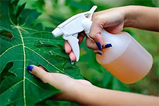 BIO PESTICIDE INDIA