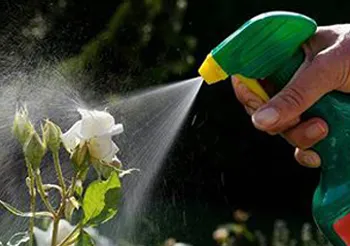 research development